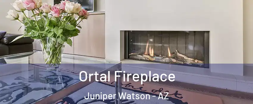 Ortal Fireplace Juniper Watson - AZ