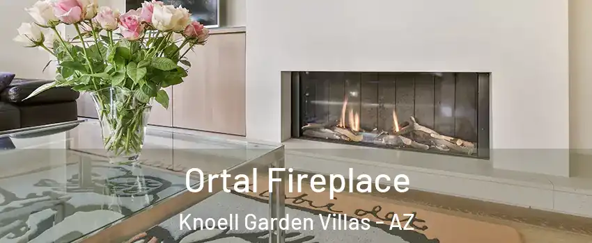 Ortal Fireplace Knoell Garden Villas - AZ
