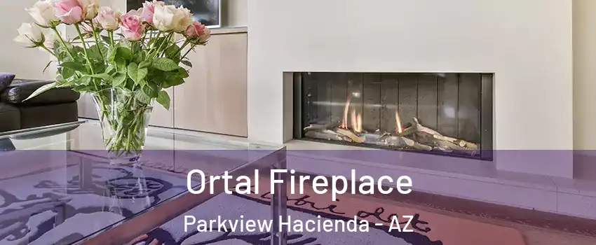 Ortal Fireplace Parkview Hacienda - AZ
