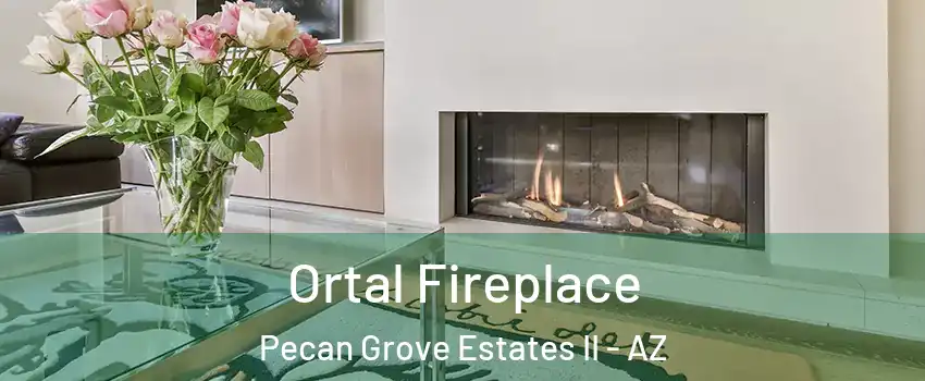 Ortal Fireplace Pecan Grove Estates II - AZ