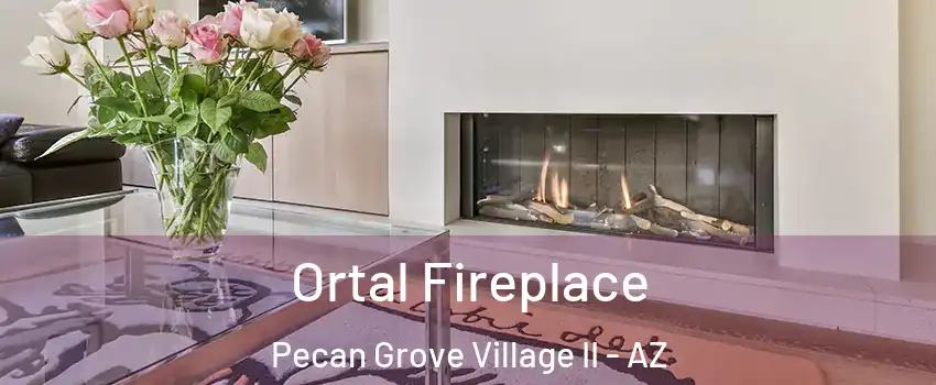 Ortal Fireplace Pecan Grove Village II - AZ