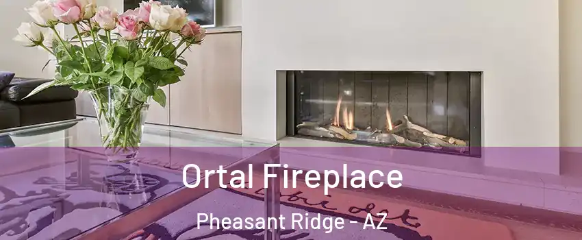 Ortal Fireplace Pheasant Ridge - AZ