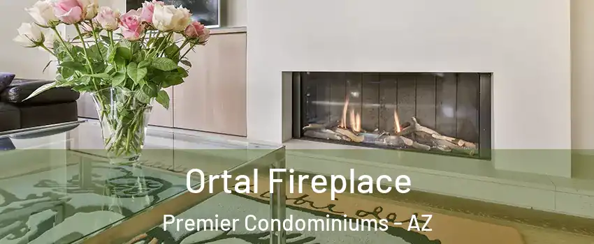 Ortal Fireplace Premier Condominiums - AZ