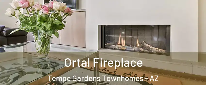 Ortal Fireplace Tempe Gardens Townhomes - AZ
