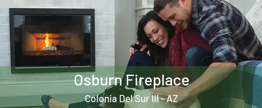 Osburn Fireplace Colonia Del Sur III - AZ