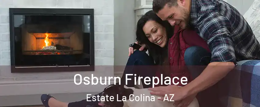Osburn Fireplace Estate La Colina - AZ