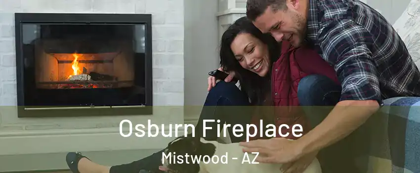 Osburn Fireplace Mistwood - AZ