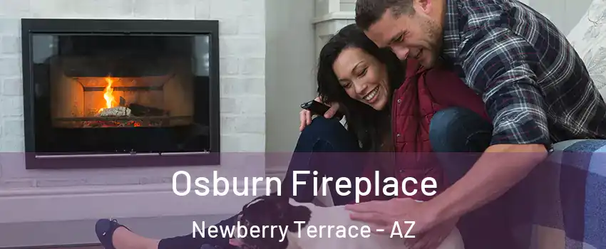 Osburn Fireplace Newberry Terrace - AZ