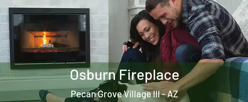 Osburn Fireplace Pecan Grove Village III - AZ