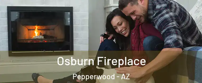 Osburn Fireplace Pepperwood - AZ