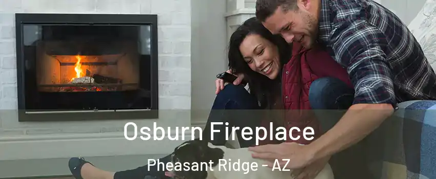 Osburn Fireplace Pheasant Ridge - AZ