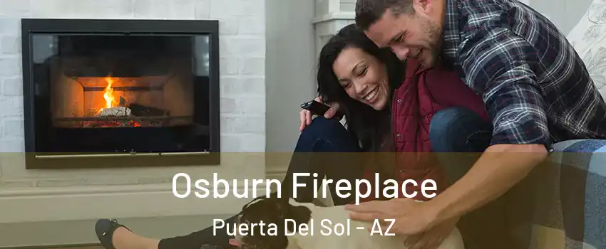 Osburn Fireplace Puerta Del Sol - AZ