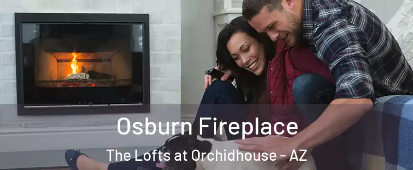 Osburn Fireplace The Lofts at Orchidhouse - AZ