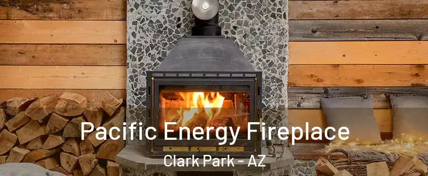 Pacific Energy Fireplace Clark Park - AZ