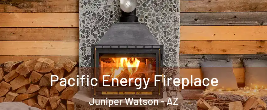 Pacific Energy Fireplace Juniper Watson - AZ