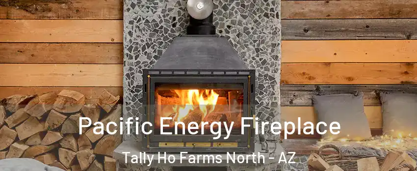 Pacific Energy Fireplace Tally Ho Farms North - AZ
