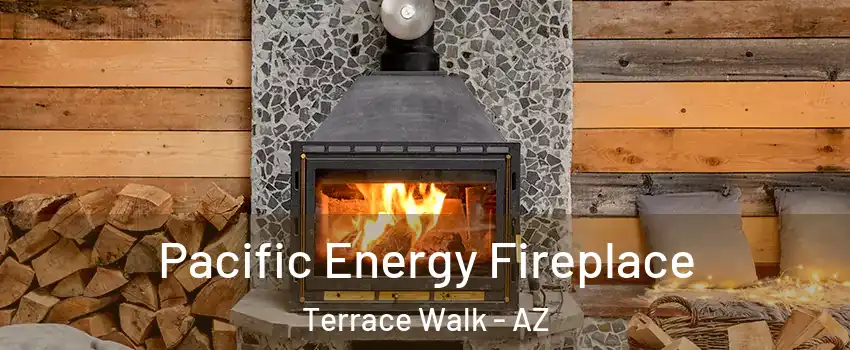 Pacific Energy Fireplace Terrace Walk - AZ
