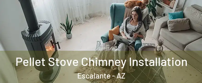 Pellet Stove Chimney Installation Escalante - AZ