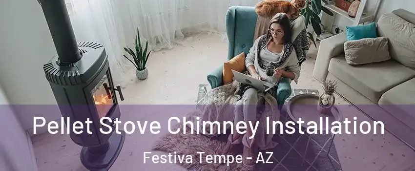 Pellet Stove Chimney Installation Festiva Tempe - AZ