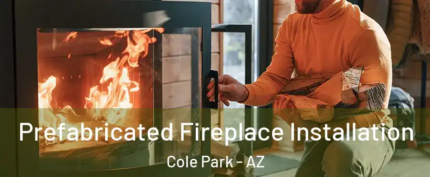 Prefabricated Fireplace Installation Cole Park - AZ