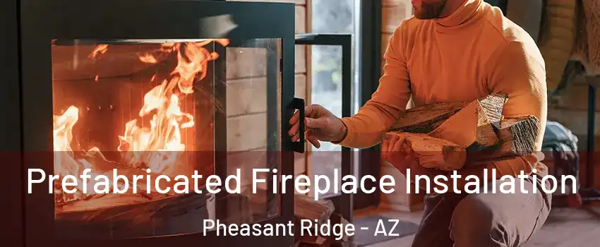 Prefabricated Fireplace Installation Pheasant Ridge - AZ