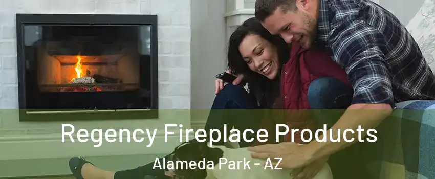 Regency Fireplace Products Alameda Park - AZ