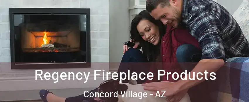 Regency Fireplace Products Concord Village - AZ