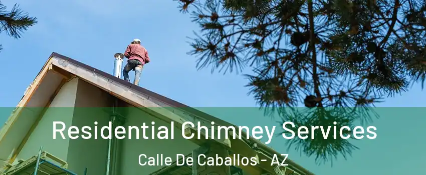 Residential Chimney Services Calle De Caballos - AZ