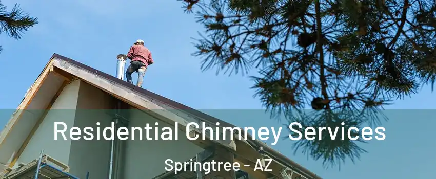 Residential Chimney Services Springtree - AZ