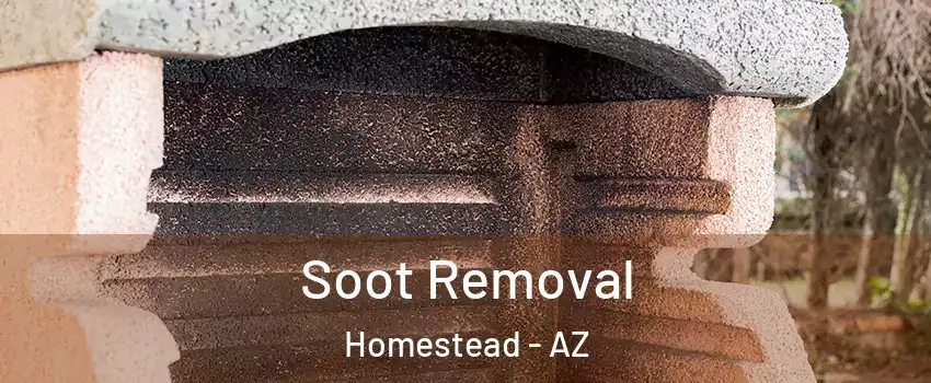 Soot Removal Homestead - AZ