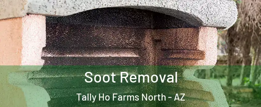 Soot Removal Tally Ho Farms North - AZ