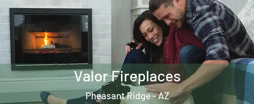 Valor Fireplaces Pheasant Ridge - AZ