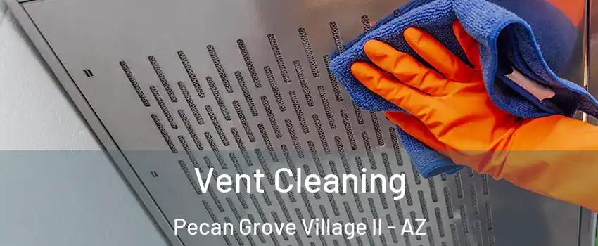 Vent Cleaning Pecan Grove Village II - AZ