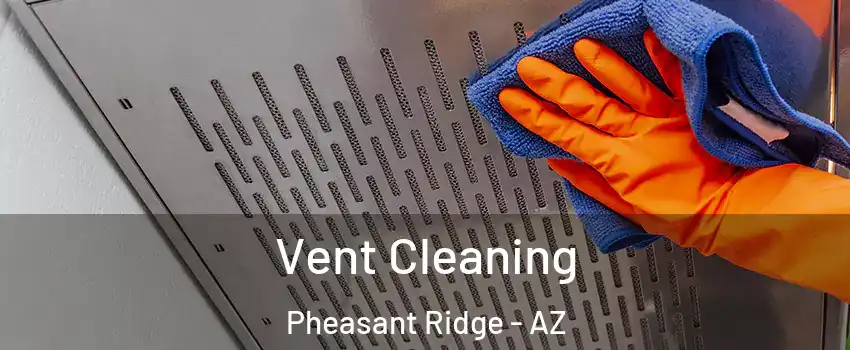Vent Cleaning Pheasant Ridge - AZ