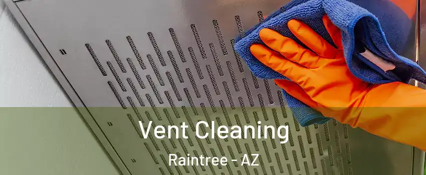 Vent Cleaning Raintree - AZ