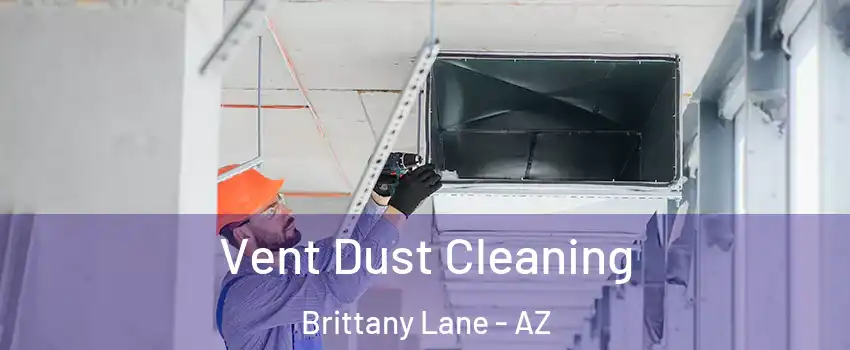 Vent Dust Cleaning Brittany Lane - AZ