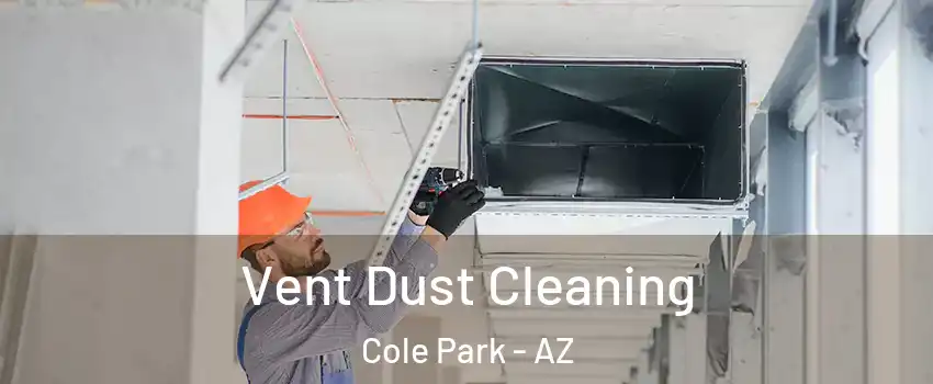 Vent Dust Cleaning Cole Park - AZ
