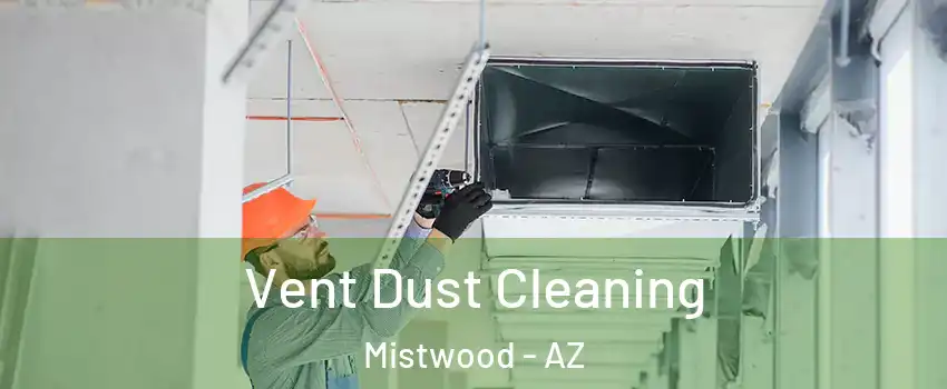 Vent Dust Cleaning Mistwood - AZ