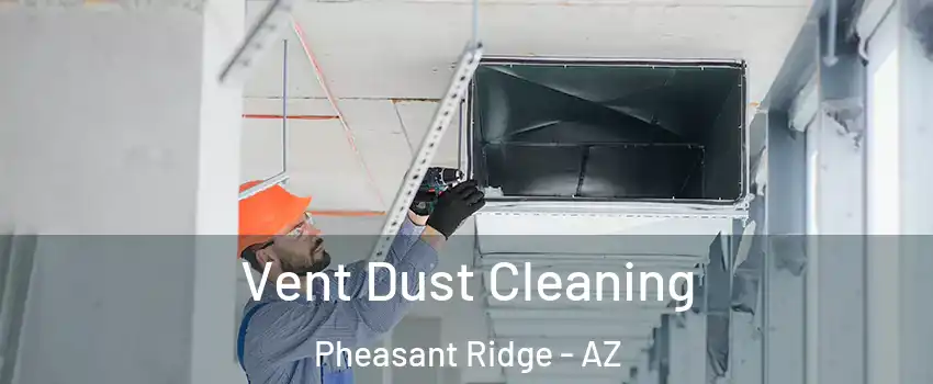 Vent Dust Cleaning Pheasant Ridge - AZ