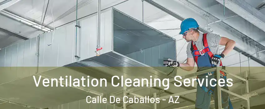 Ventilation Cleaning Services Calle De Caballos - AZ