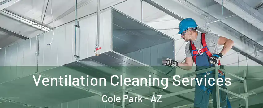 Ventilation Cleaning Services Cole Park - AZ