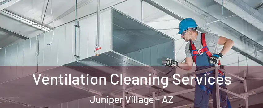Ventilation Cleaning Services Juniper Village - AZ
