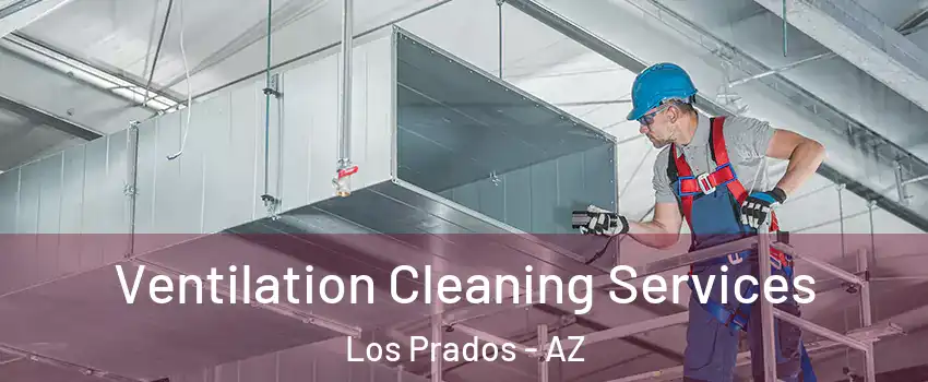 Ventilation Cleaning Services Los Prados - AZ