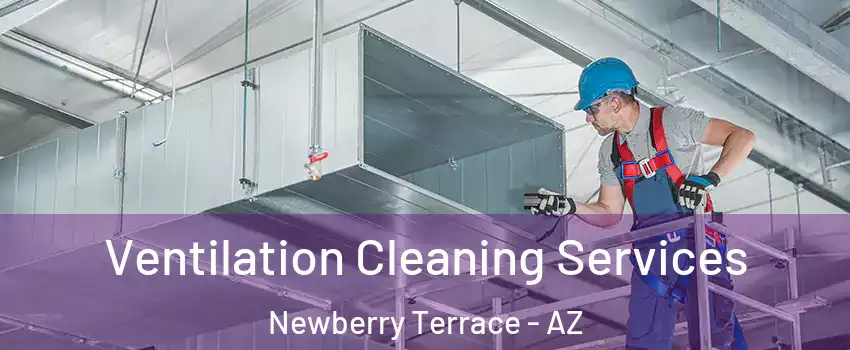 Ventilation Cleaning Services Newberry Terrace - AZ