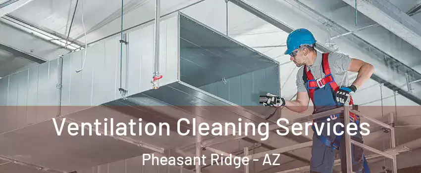 Ventilation Cleaning Services Pheasant Ridge - AZ