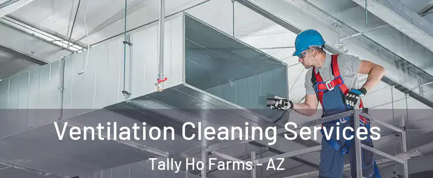 Ventilation Cleaning Services Tally Ho Farms - AZ