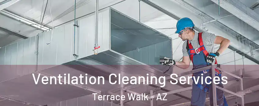 Ventilation Cleaning Services Terrace Walk - AZ
