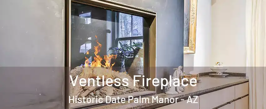 Ventless Fireplace Historic Date Palm Manor - AZ