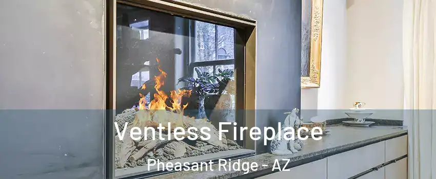 Ventless Fireplace Pheasant Ridge - AZ