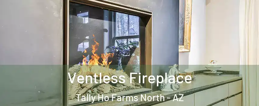 Ventless Fireplace Tally Ho Farms North - AZ